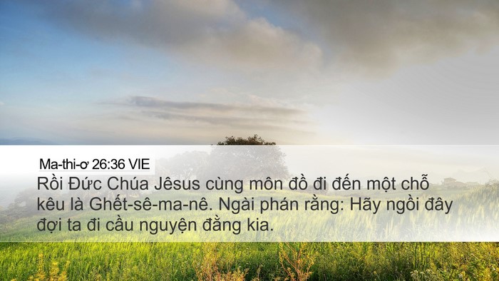 Ma-thi-ơ 26:36 VIE Bible Verse Image