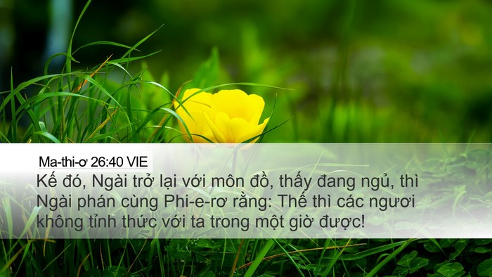 Ma-thi-ơ 26:40 VIE Bible Verse Image