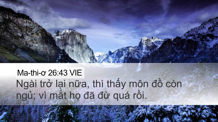 Ma-thi-ơ 26:43 VIE Bible Verse Image