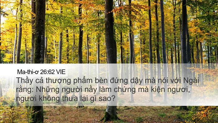 Ma-thi-ơ 26:62 VIE Bible Verse Image