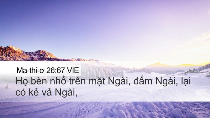 Ma-thi-ơ 26:67 VIE Desktop Wallpaper - Họ bèn nhổ trên mặt Ngài, đấm Ngài, - Desktop Bible Verse Wallpaper