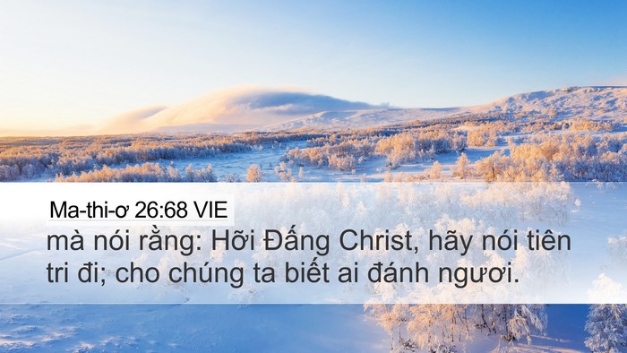 Ma-thi-ơ 26:68 VIE Desktop Wallpaper - mà nói rằng: Hỡi Đấng Christ, hãy nói - Desktop Bible Verse Wallpaper
