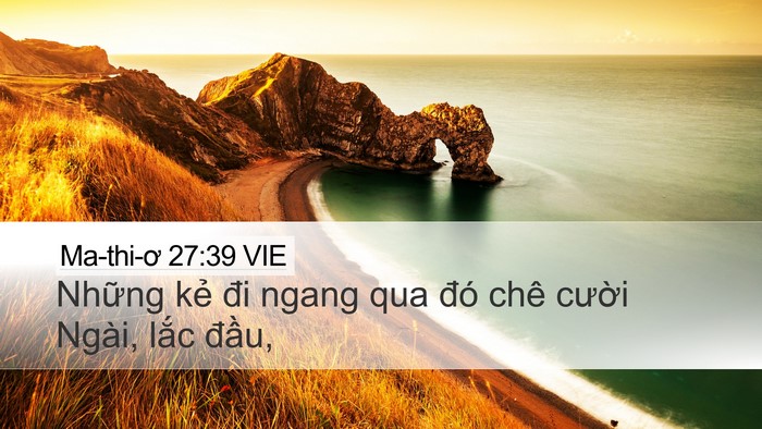 Ma-thi-ơ 27:39 VIE Bible Verse Image