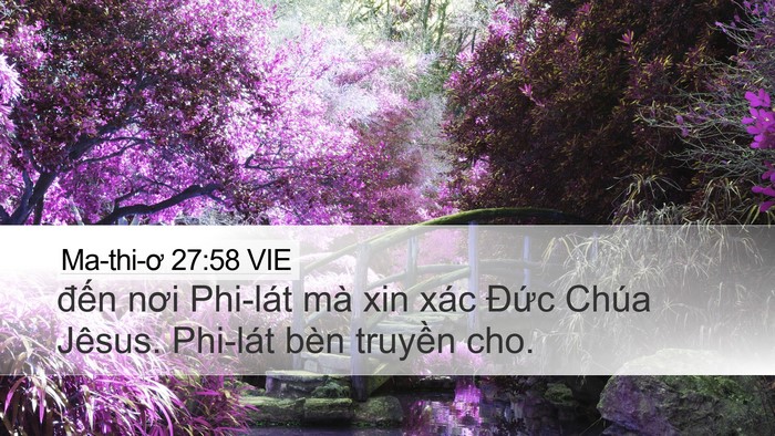 Ma-thi-ơ 27:58 VIE Bible Verse Image