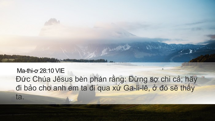 Ma-thi-ơ 28:10 VIE Bible Verse Image