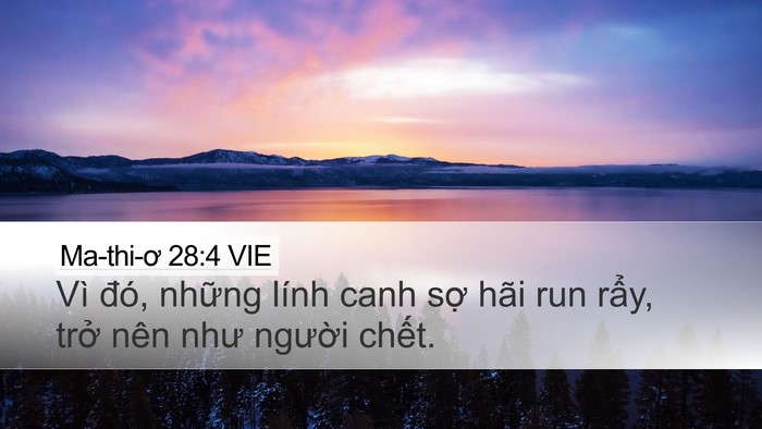 Ma-thi-ơ 28:4 VIE Desktop Wallpaper - Vì đó, những lính canh sợ hãi run rẩy, - Desktop Bible Verse Wallpaper