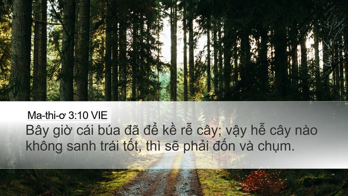 Ma-thi-ơ 3:10 VIE Bible Verse Image