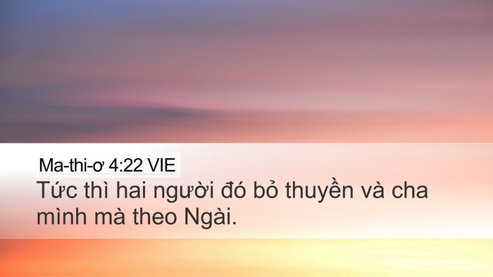 Ma-thi-ơ 4:22 VIE Desktop Wallpaper - Tức thì hai người đó bỏ thuyền và - Desktop Bible Verse Wallpaper