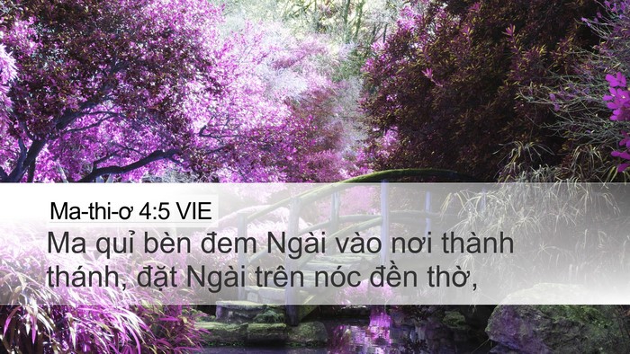 Ma-thi-ơ 4:5 VIE Bible Verse Image