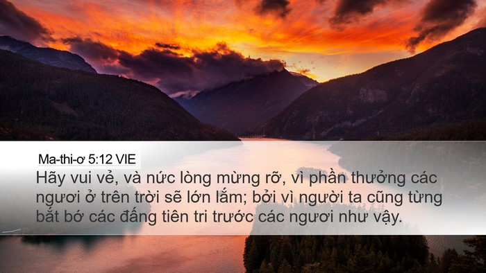Ma-thi-ơ 5:12 VIE Bible Verse Image