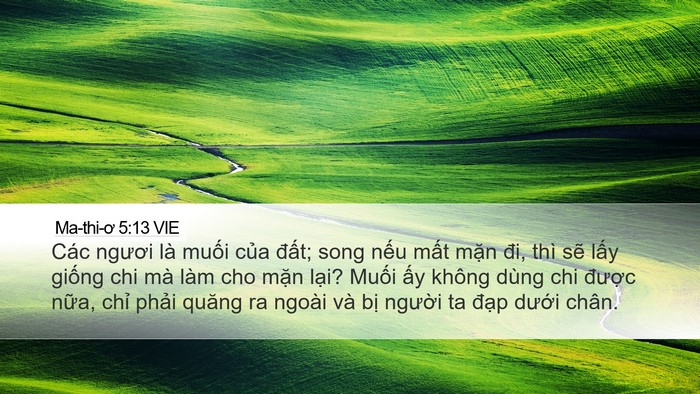 Ma-thi-ơ 5:13 VIE Bible Verse Image