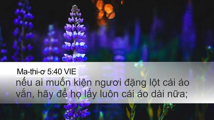 Ma-thi-ơ 5:40 VIE Desktop Wallpaper - nếu ai muốn kiện ngươi đặng lột cái - Desktop Bible Verse Wallpaper