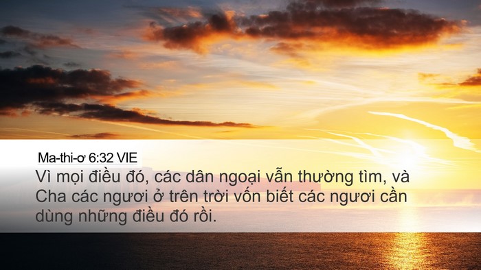 Ma-thi-ơ 6:32 VIE Bible Verse Image