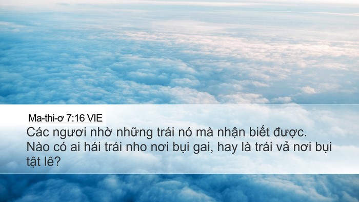 Ma-thi-ơ 7:16 VIE Desktop Wallpaper - Các ngươi nhờ những trái nó mà nhận - Desktop Bible Verse Wallpaper