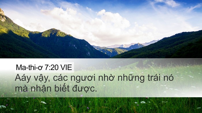 Ma-thi-ơ 7:20 VIE Bible Verse Image