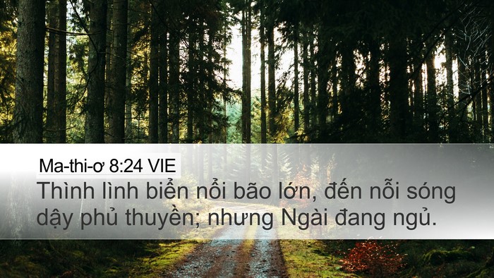 Ma-thi-ơ 8:24 VIE Desktop Wallpaper - Thình lình biển nổi bão lớn, đến - Desktop Bible Verse Wallpaper
