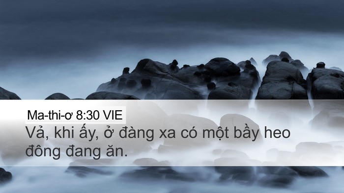 Ma-thi-ơ 8:30 VIE Bible Verse Image