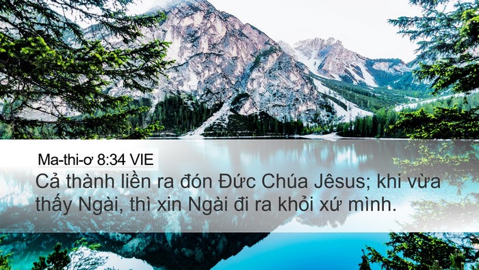 Ma-thi-ơ 8:34 VIE Bible Verse Image
