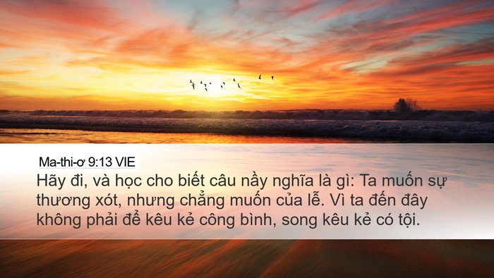 Ma-thi-ơ 9:13 VIE Bible Verse Image