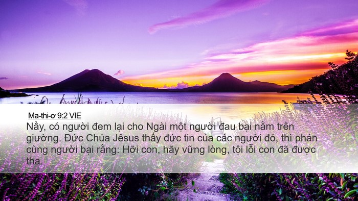 Ma-thi-ơ 9:2 VIE Desktop Wallpaper - Nầy, có người đem lại cho Ngài một - Desktop Bible Verse Wallpaper