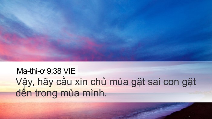 Ma-thi-ơ 9:38 VIE Desktop Wallpaper - Vậy, hãy cầu xin chủ mùa gặt sai con - Desktop Bible Verse Wallpaper