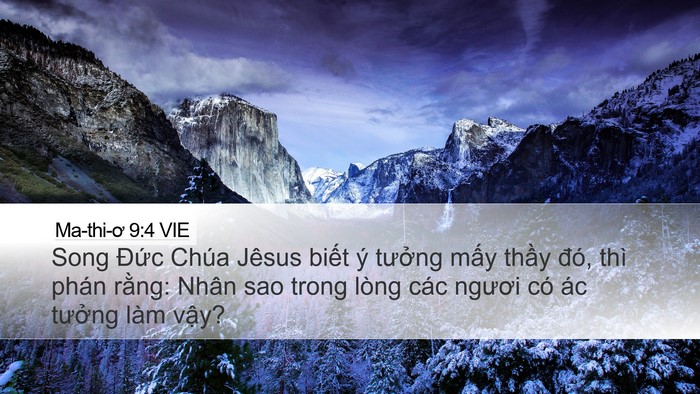 Ma-thi-ơ 9:4 VIE Bible Verse Image