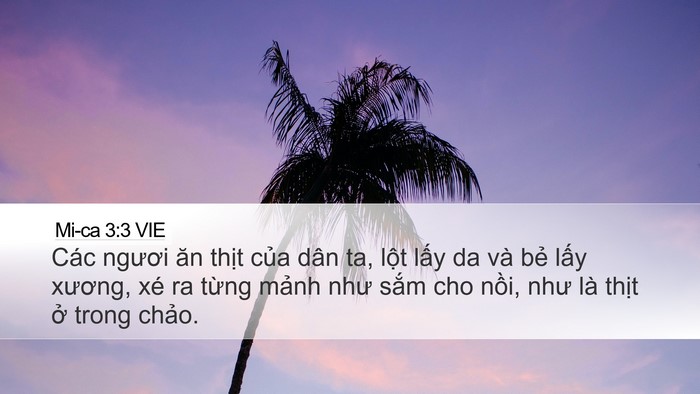 Mi-ca 3:3 VIE Bible Verse Image