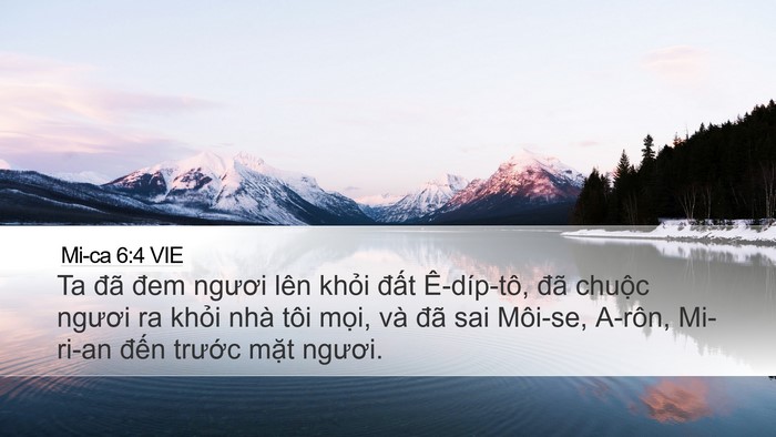 Mi-ca 6:4 VIE Bible Verse Image