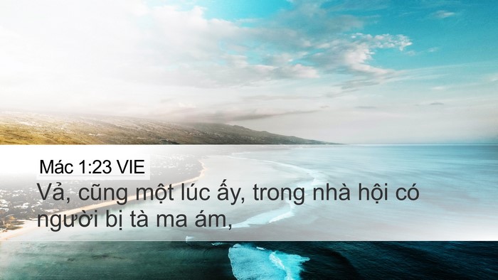 Mác 1:23 VIE Bible Verse Image