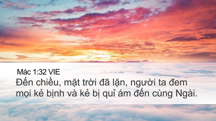 Mác 1:32 VIE Bible Verse Image
