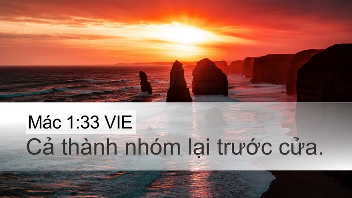 Mác 1:33 VIE Desktop Wallpaper - Cả thành nhóm lại trước - Desktop Bible Verse Wallpaper