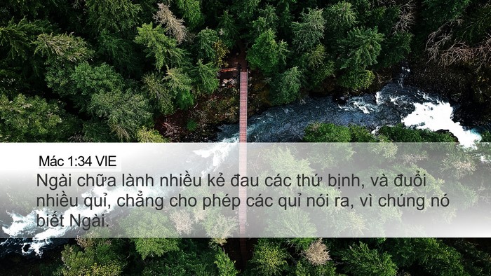 Mác 1:34 VIE Bible Verse Image