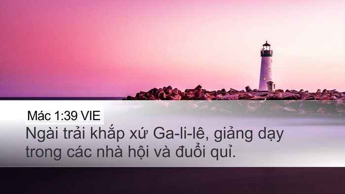 Mác 1:39 VIE Bible Verse Image