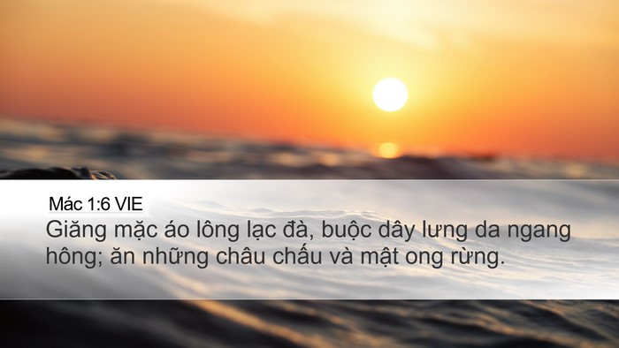 Mác 1:6 VIE Bible Verse Image