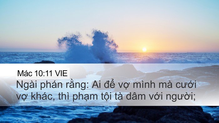 Mác 10:11 VIE Bible Verse Image