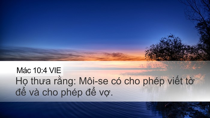 Mác 10:4 VIE Bible Verse Image