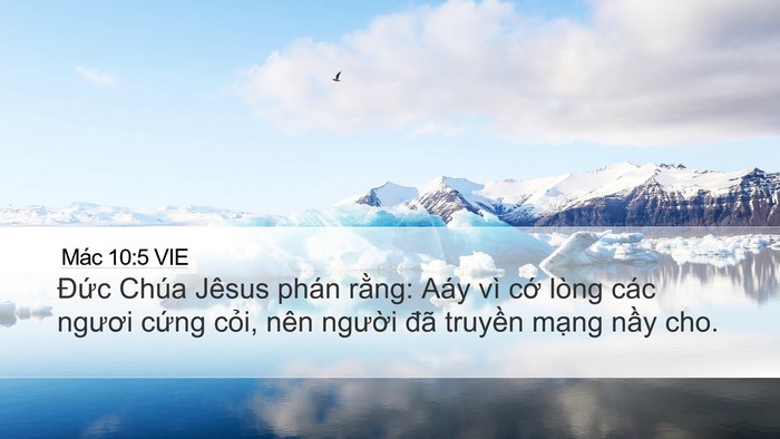 Mác 10:5 VIE Bible Verse Image