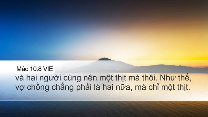 Mác 10:8 VIE Desktop Wallpaper - và hai người cùng nên một thịt mà - Desktop Bible Verse Wallpaper