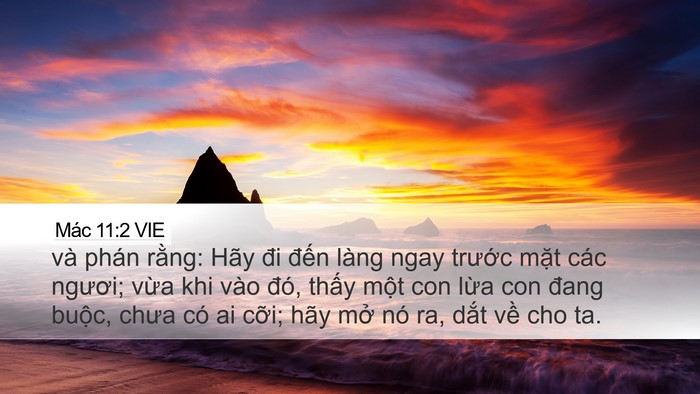 Mác 11:2 VIE Bible Verse Image