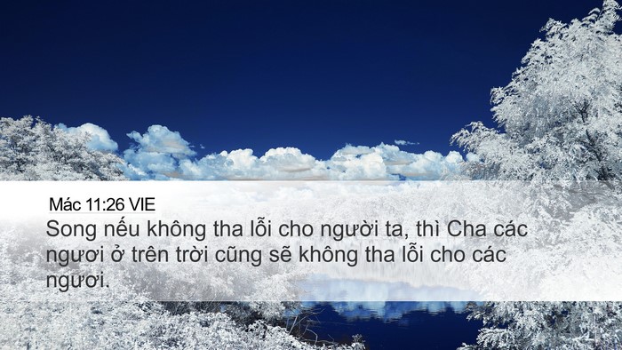 Mác 11:26 VIE Desktop Wallpaper - Song nếu không tha lỗi cho người ta, thì - Desktop Bible Verse Wallpaper