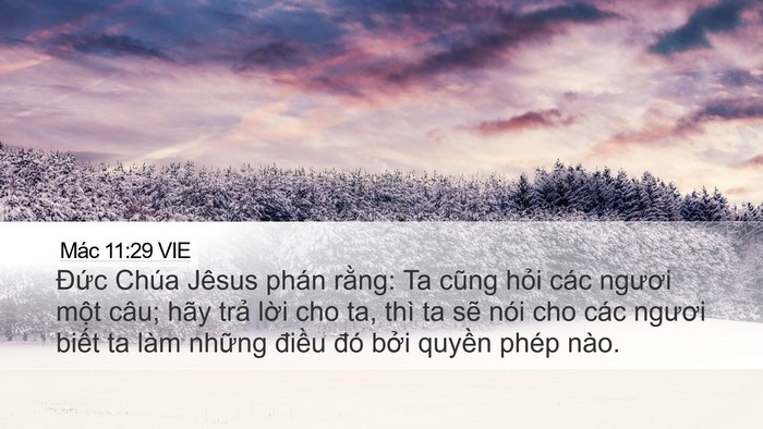Mác 11:29 VIE Bible Verse Image