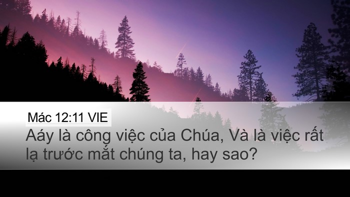 Mác 12:11 VIE Desktop Wallpaper - Aáy là công việc của Chúa, Và là việc - Desktop Bible Verse Wallpaper