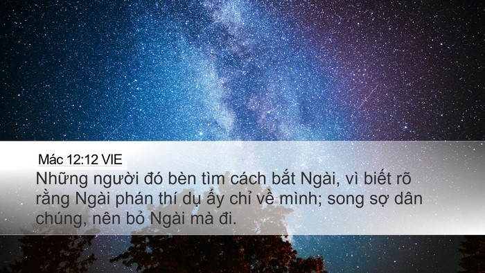 Mác 12:12 VIE Bible Verse Image