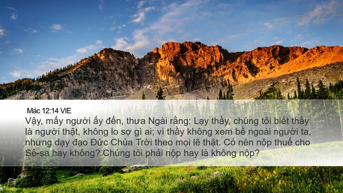 Mác 12:14 VIE Bible Verse Image
