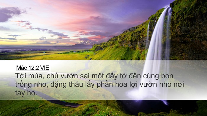 Mác 12:2 VIE Bible Verse Image