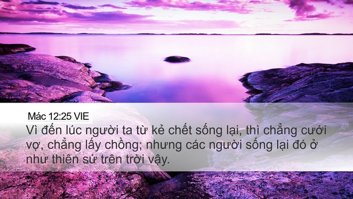 Mác 12:25 VIE Desktop Wallpaper - Vì đến lúc người ta từ kẻ chết - Desktop Bible Verse Wallpaper