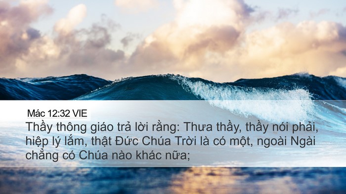 Mác 12:32 VIE Bible Verse Image