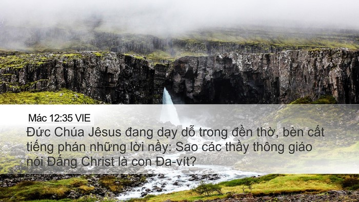 Mác 12:35 VIE Bible Verse Image