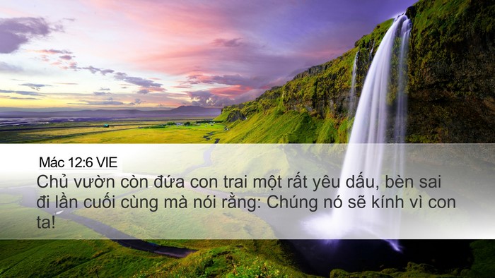 Mác 12:6 VIE Bible Verse Image