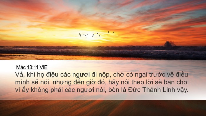 Mác 13:11 VIE Bible Verse Image